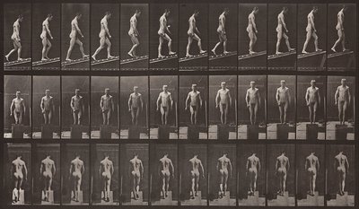 Tierbewegung, Tafel 74 von Eadweard Muybridge